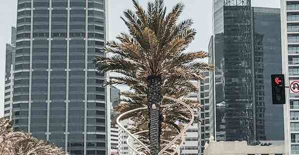 大数据判断数据变化趋势（大数据判断数据变化趋势分析）