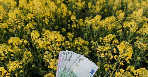 大数据判断数据变化趋势（大数据判断数据变化趋势分析）