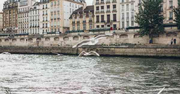 艾克智能清洁机器人 艾克智能清洁机器人怎么样