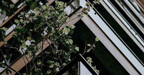 大数据影视软件