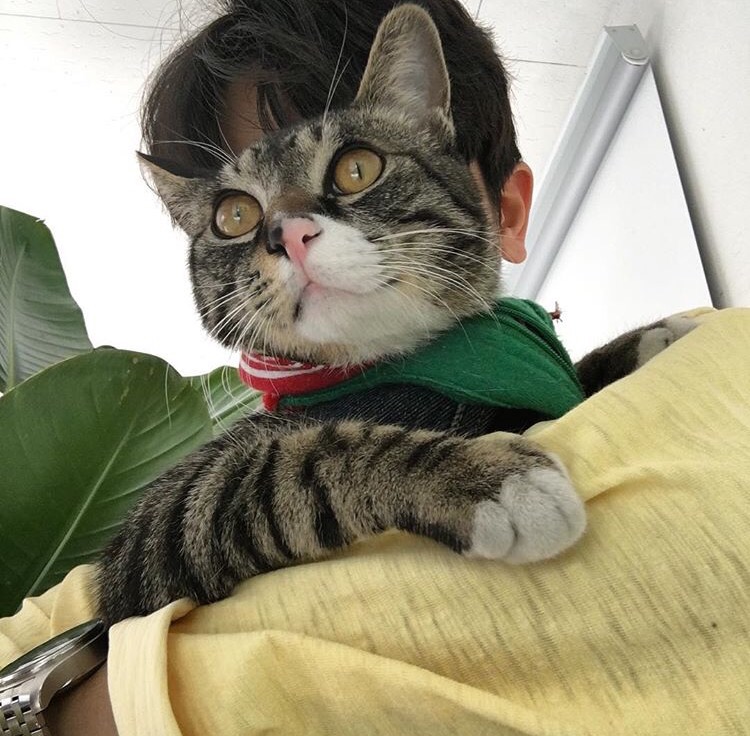 连娅哲彦