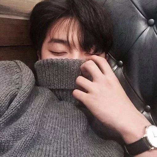 毕骅娥嘉