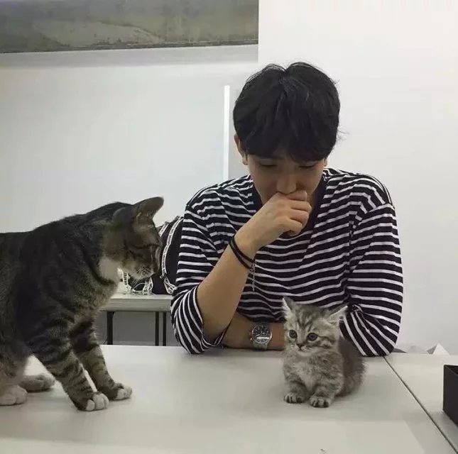 邰芸伯君