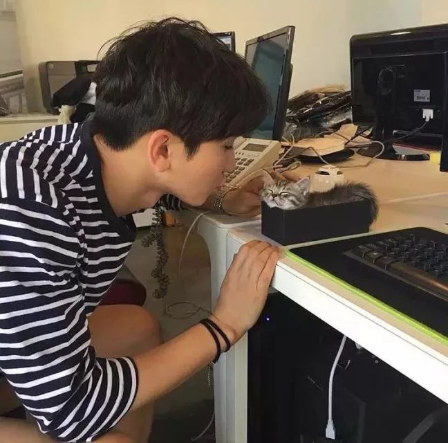 费枝莉乐